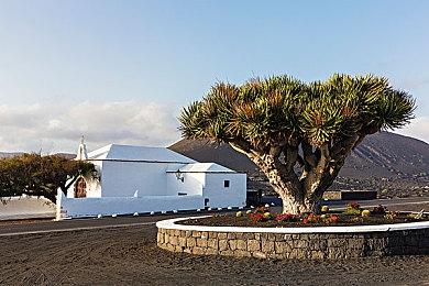 《恐龙危机》风格新作《复合骨折》实机预告片赏