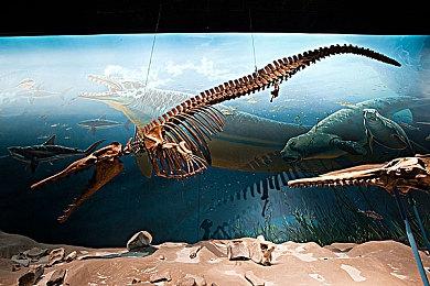 《ICE on the Edge》Steam上线 花样滑冰训练模拟